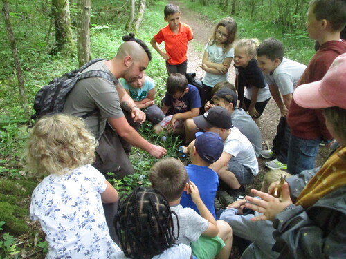 Sortie en forêt