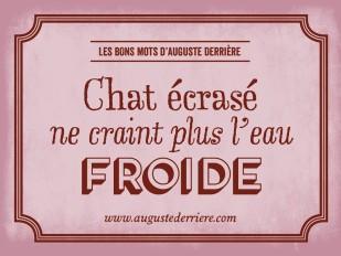 Humour: les jeux de mots d'Auguste Derrière - 44 images chat-eau.jpg