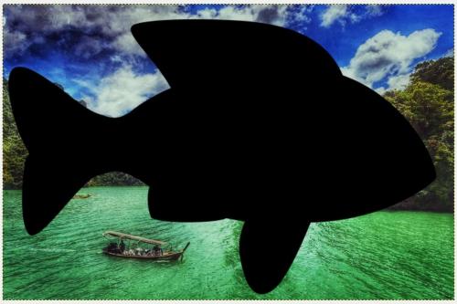 Les 2 images vues dans GIMP