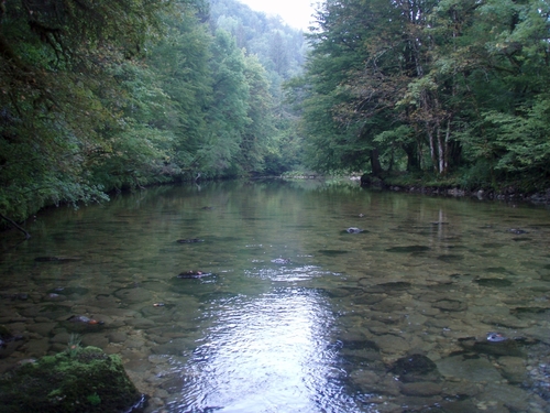 le Jura (4) : la Bienne (fin), la rivière, ses poissons, ses paysages autour de Saint-Claude