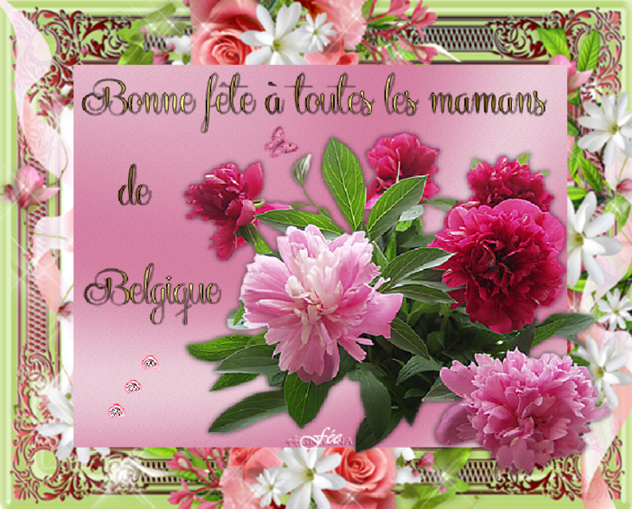 Bonne fête aux Mamans de Belgique
