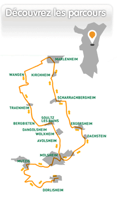 Découvrez les parcours du marathon du vignoble d'Alsace