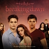 Affiche Breaking Dawn clan Cullen