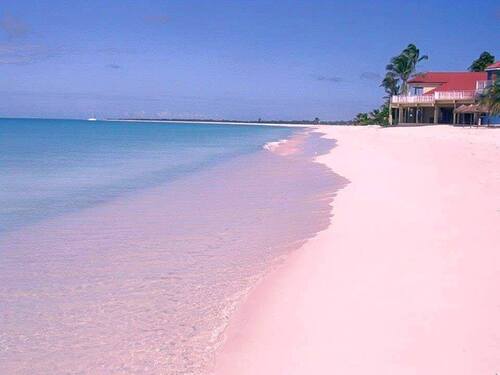 rainbow pink sunset beach 