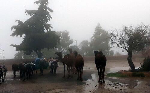 Dans la brume au col