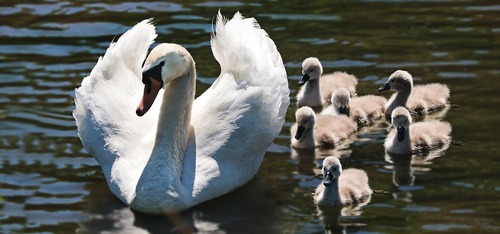 Week-end en famille...