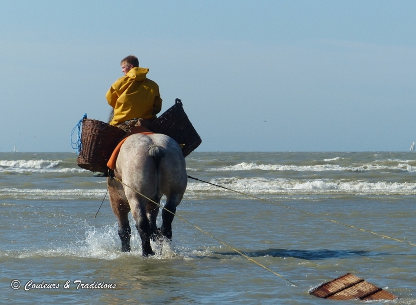 La pêche à cheval 