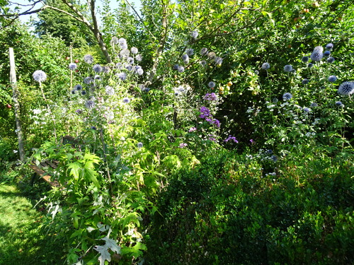 le jardin du prieuré à La Ferté Loupière