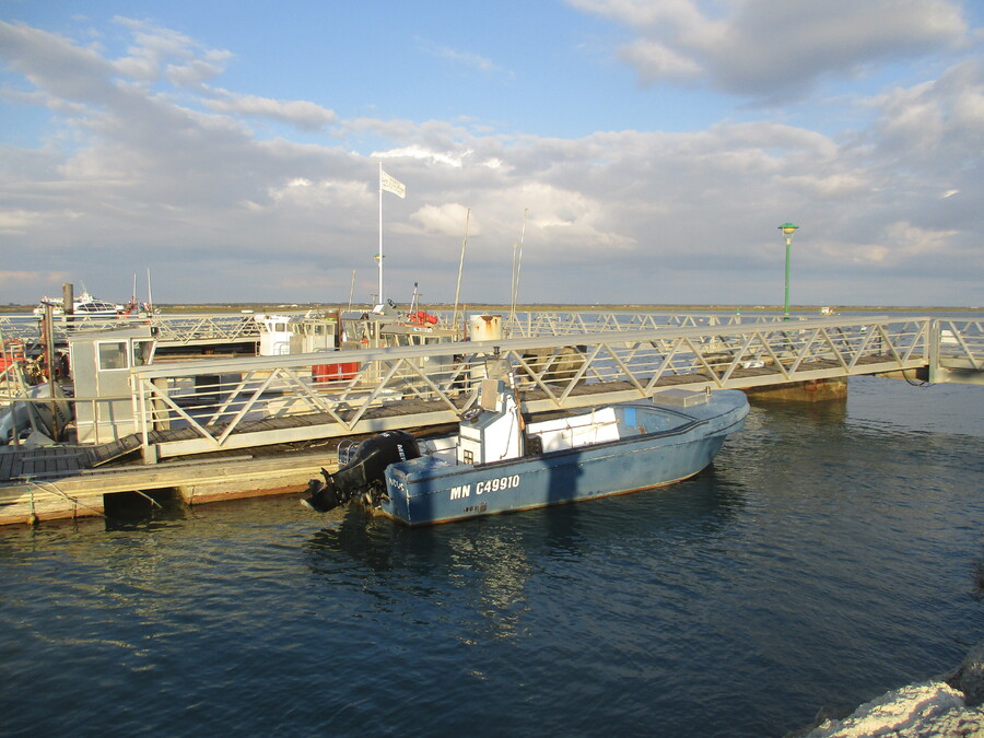 LA  TREMBLADE  (CHARENTES MARITIMES)   SEPTEMBRE-OCTOBRE  2022   (2)