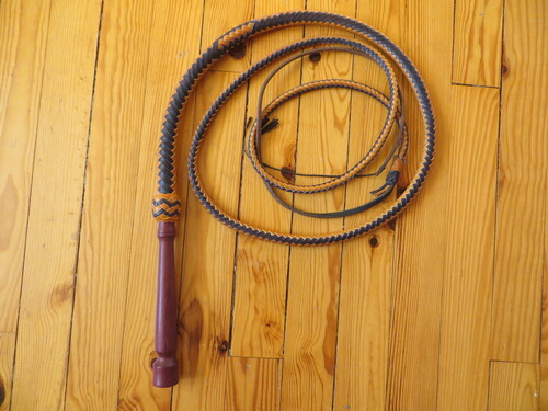 Bullwhip à vendre 200€