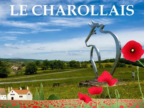 Le CHAROLLAIS -Bourgogne