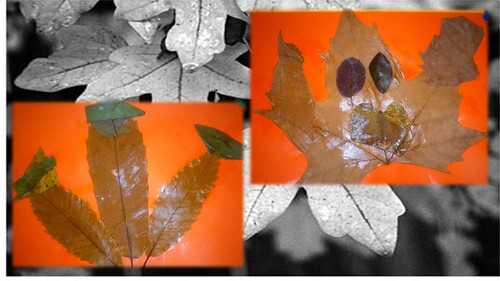 Arts plastiques : feuilles d'automne