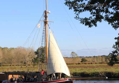 La Bogue d'Or et ses jolis bateaux