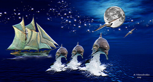 Le saut des dauphins