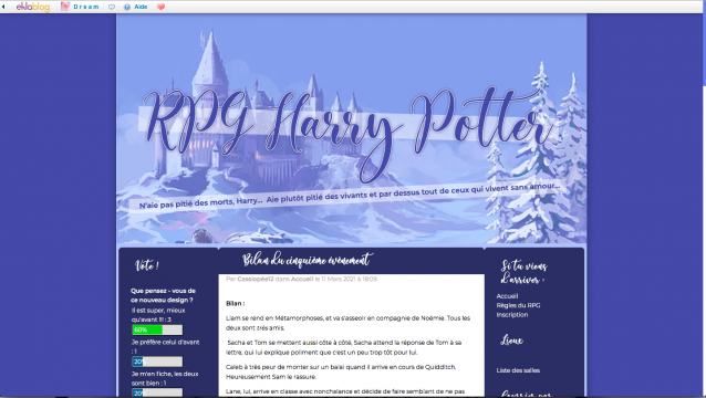 Thème de blog #1 : RPG Harry Potter
