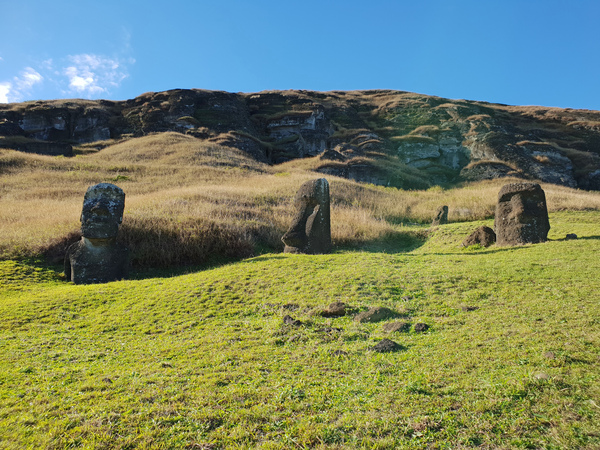 Rano Raraku, la carrière des moaïs