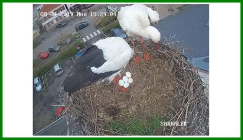 Un couple sous les projecteurs