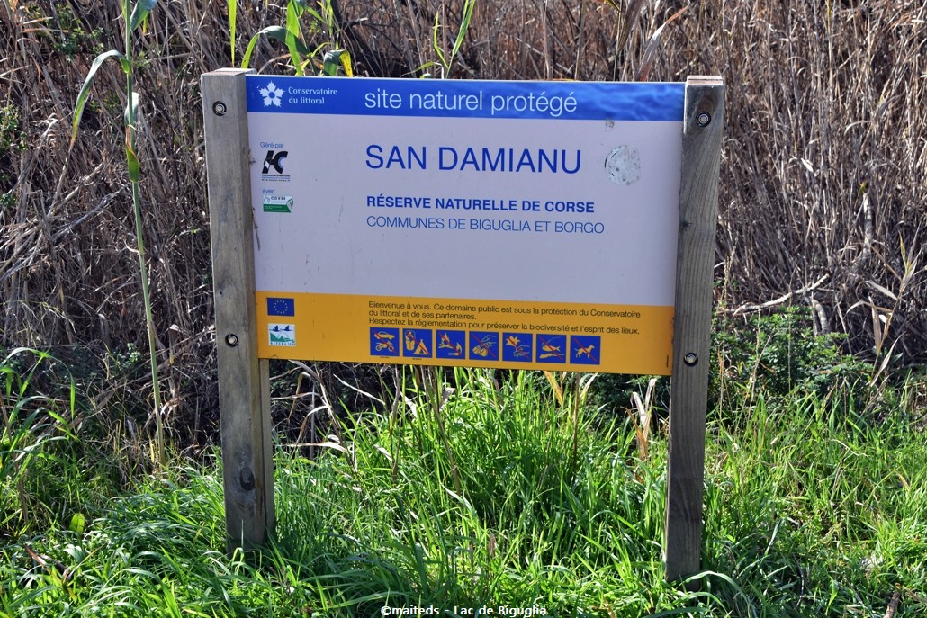 San Damianu - Réserve naturelle de Corse