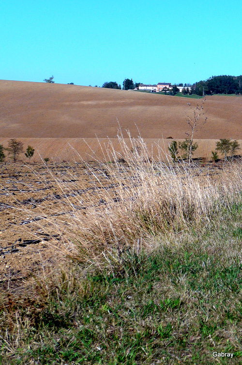 Automne en Lauragais ...