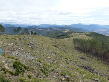 Sommet de l'Alvarin (1555 m) - Panorama