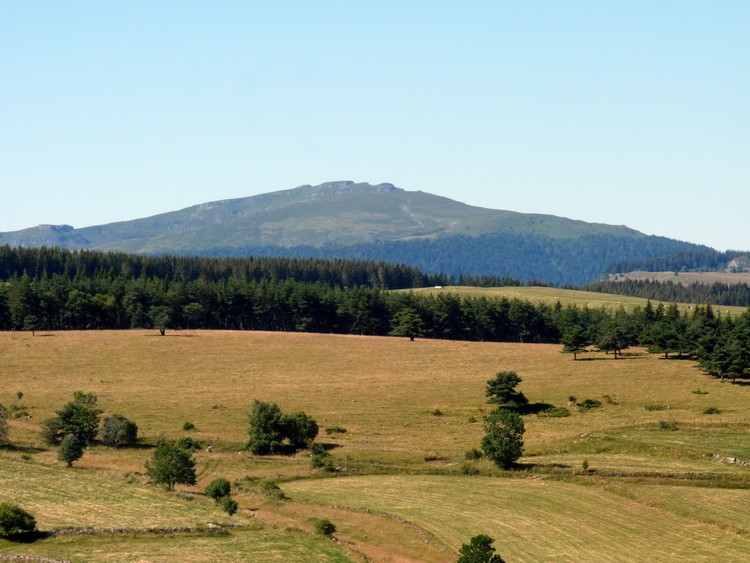 Plomb du Cantal