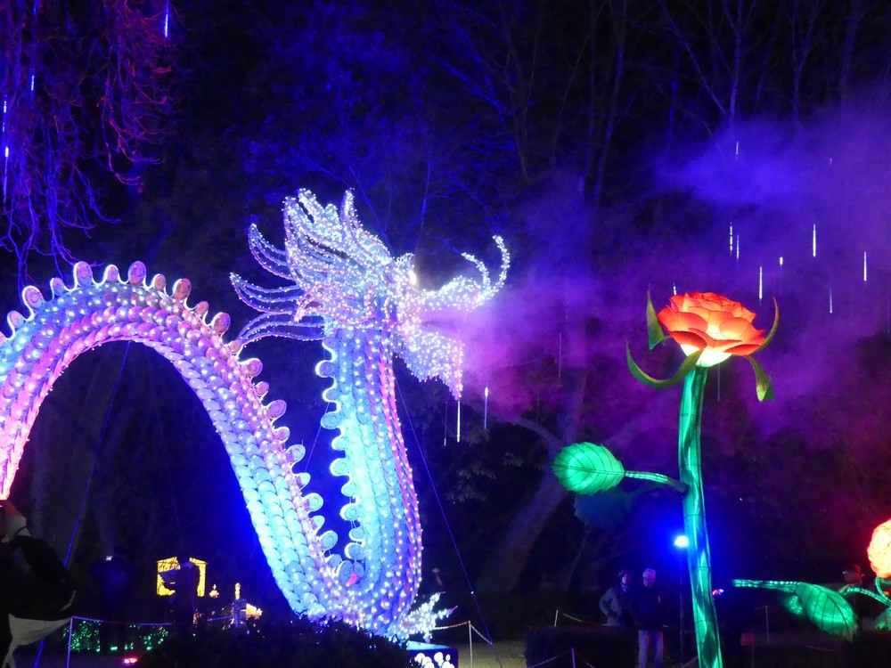 Le dragon qui crache du feu, au Festival des lumières chinoises, à Gaillac...