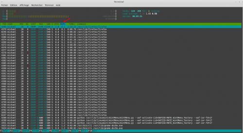 Utilisation du moniteur système HTOP