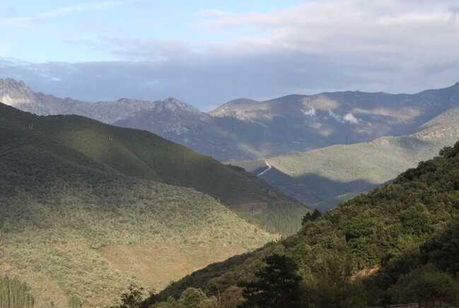 6 Monastère de San Toribio de Liebana (20)