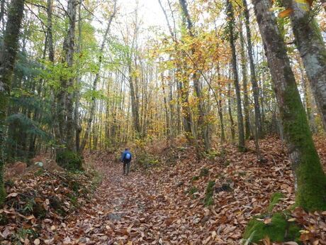 LES MONTS DE BLONDS