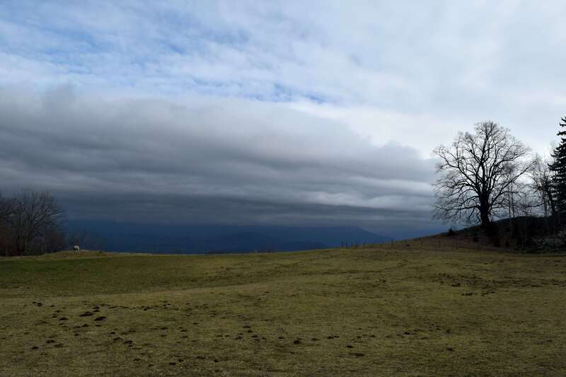 2016.02.15 Tourbière du Peuil (Isère) (1)