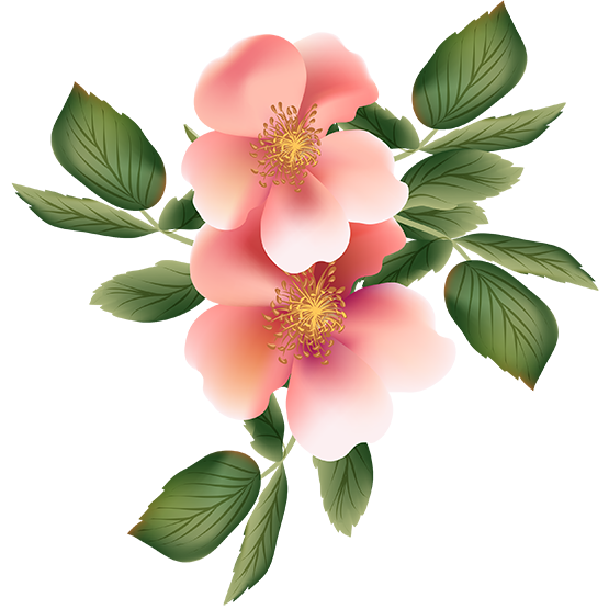 Resultado de imagen para TUBES una rosa 