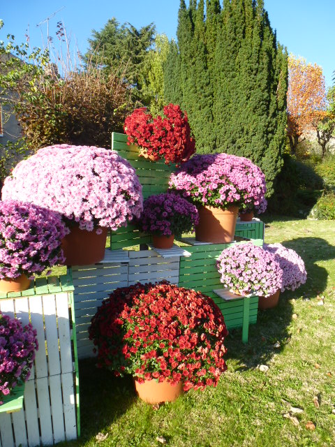 COULEURS D'AUTOMNE A BEAUGENCY