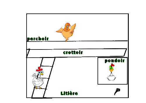 Des poules pour revaloriser les déchets – guide pratique