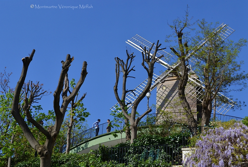 La photo du weekend : Montmartre