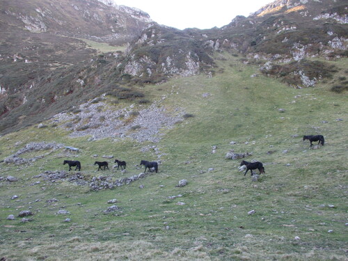 Cabane (2 nuits) : cabane de Courille (Bethmale) - 09