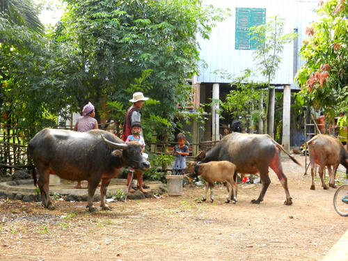 Kampong Cham