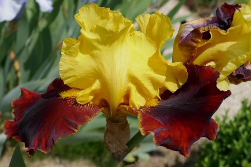 Le cartoscope du lundi 17 juillet 2023