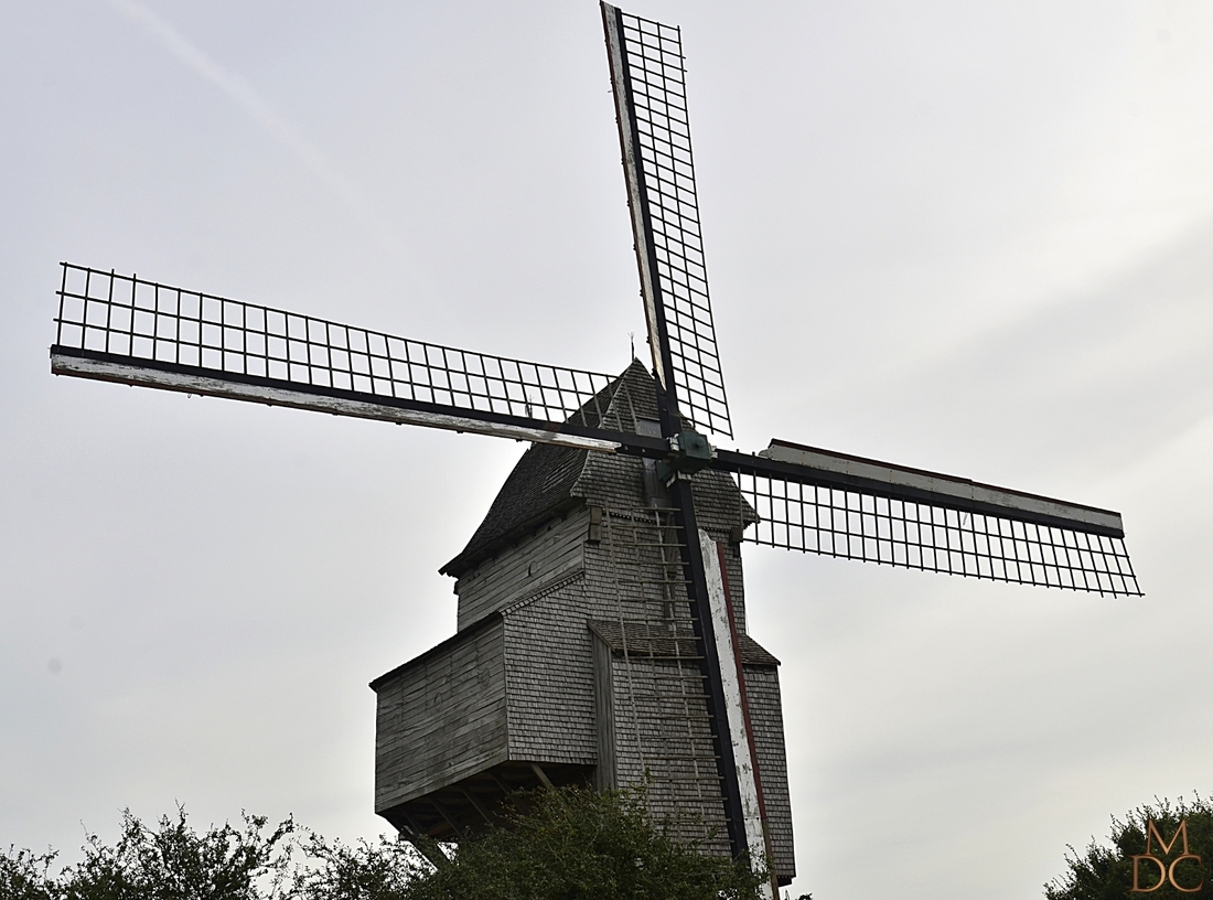 NOORMEULEN ou MOULIN du Nord – HONDSCHOOTE – (59 Nord)