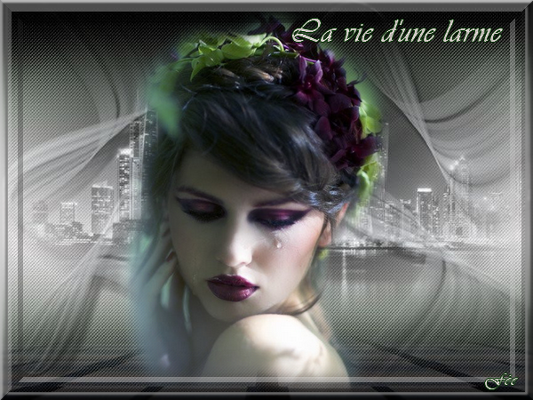 La vie d'une larme