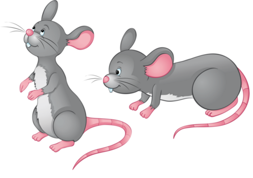 Dessins Souris