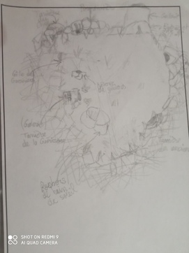 Carte du Camp du Clan de la Roche