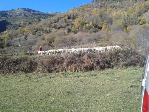 Le retour de l'escadron perdu