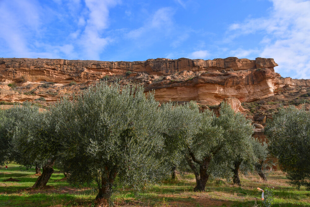 Le désert de los Monégros (2)