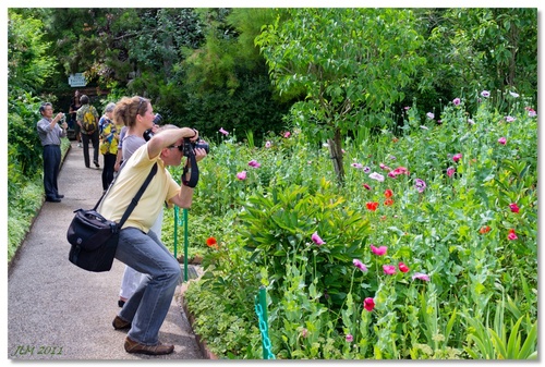 Mimétisme de Paparazzi 