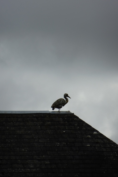  VISITE DE BEAUGENCY EN PHOTOS ......