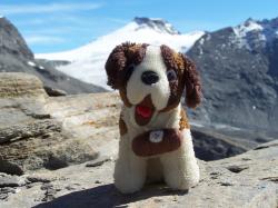 mascotte en montagne