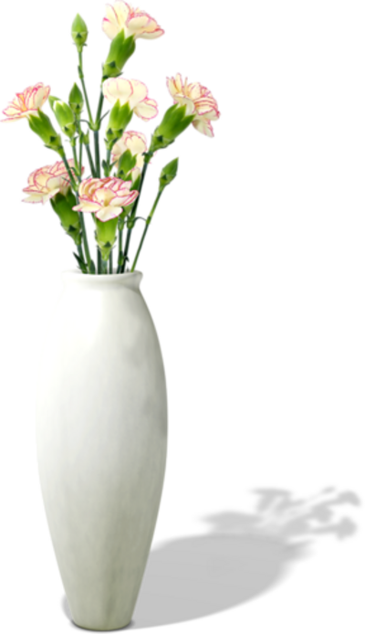 Fleurs dans vases