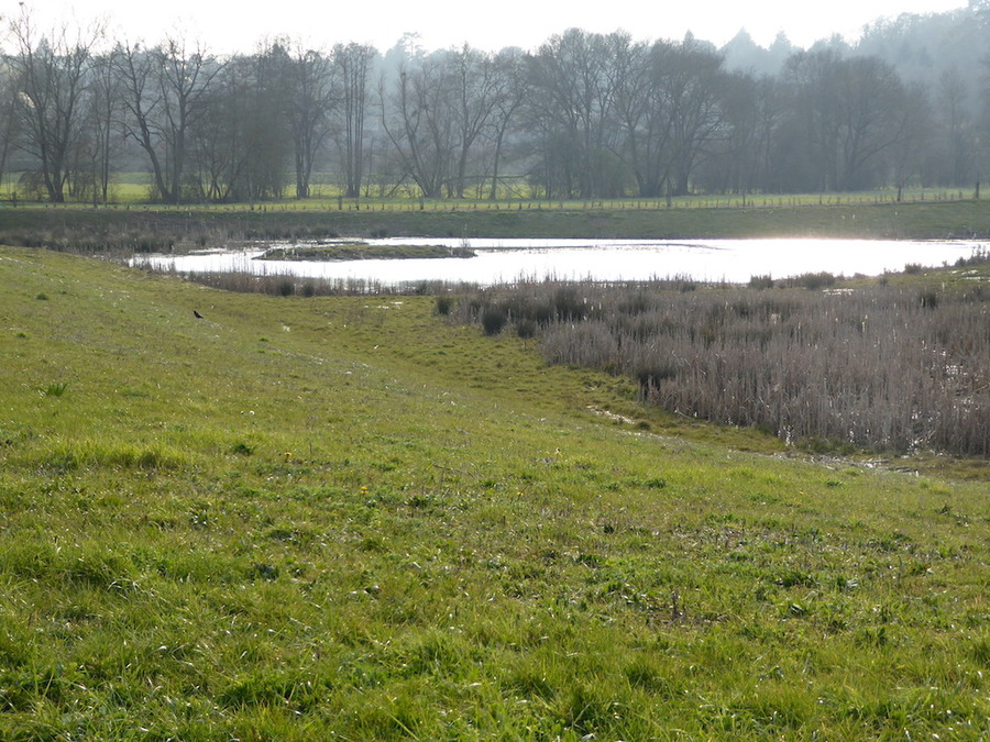 Pour vous occuper pendant ma pause: Balade dans les bas de St Cyr sur Loire.