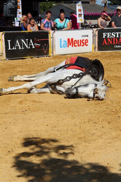 festival andalucia 2016