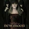 New-Moon-new-moon-movie-5275816-361-492.jpg